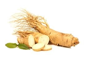 Ginseng root pieces, a natural ingredient in GlycoMelt for blood sugar and energy support