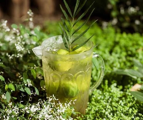 Green tea leaves, a natural ingredient in GlycoMelt for antioxidant and metabolism support