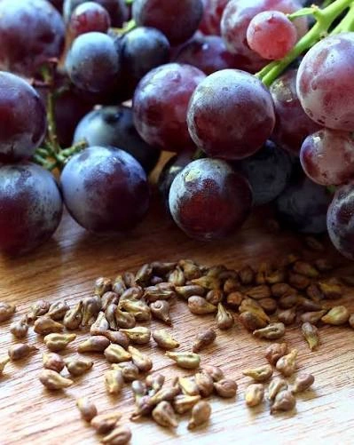 Grapefruit seed extract, a natural ingredient in GlycoMelt for insulin sensitivity support